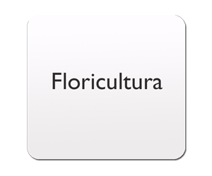 floricultura